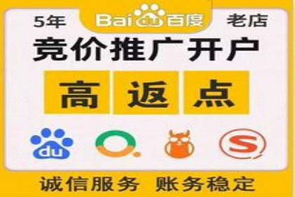 某企业SEM广告投放的ROI提升策略及效果展示